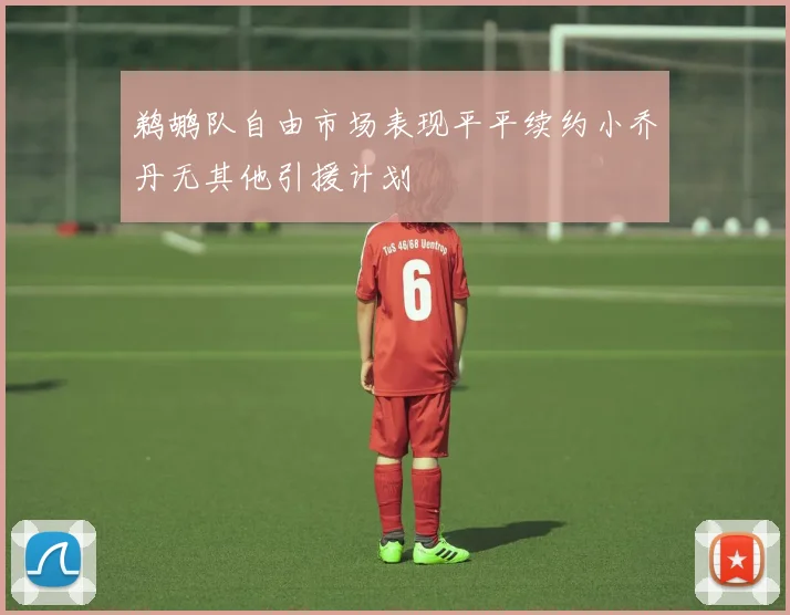 鹈鹕队自由市场表现平平续约小乔丹无其他引援计划